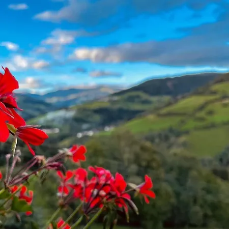 Daire Romantisches In 1100m Hoehe Zw Katschberg Und Millstaetter Puchreit