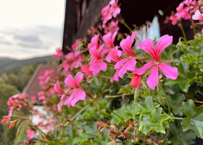 Romantisches In 1100m Hoehe Zw Katschberg Und Millstaetter
