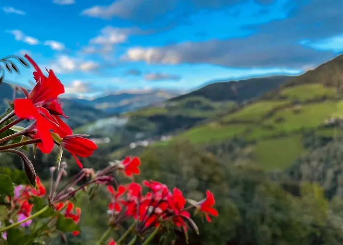 Apartment Romantisches In 1100m Hoehe Zw Katschberg Und Millstaetter Puchreit